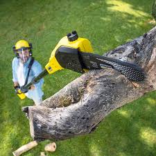 How Our Tree Care Process Works  in  Pelahatchie, MS