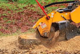Lawn Renovation and Restoration in Pelahatchie, MS